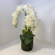 Orquídea Artificial Blanca
