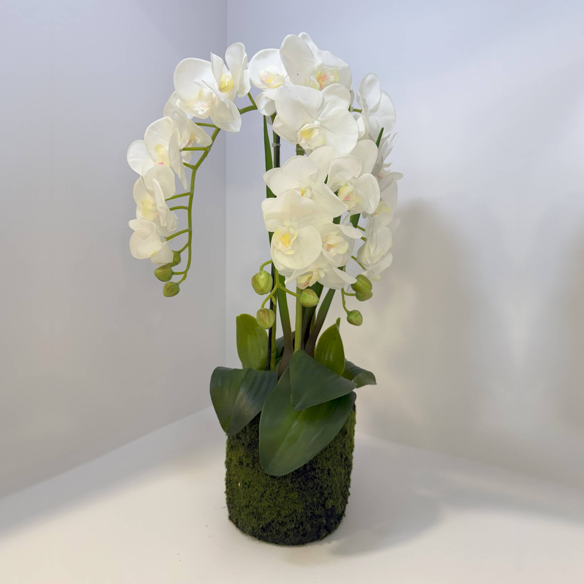 Orquídea Artificial Blanca